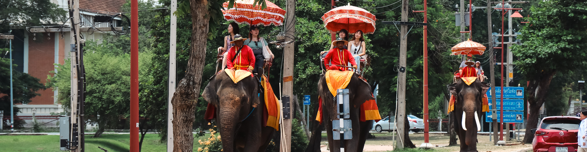 Ayutthaya Elephent Village