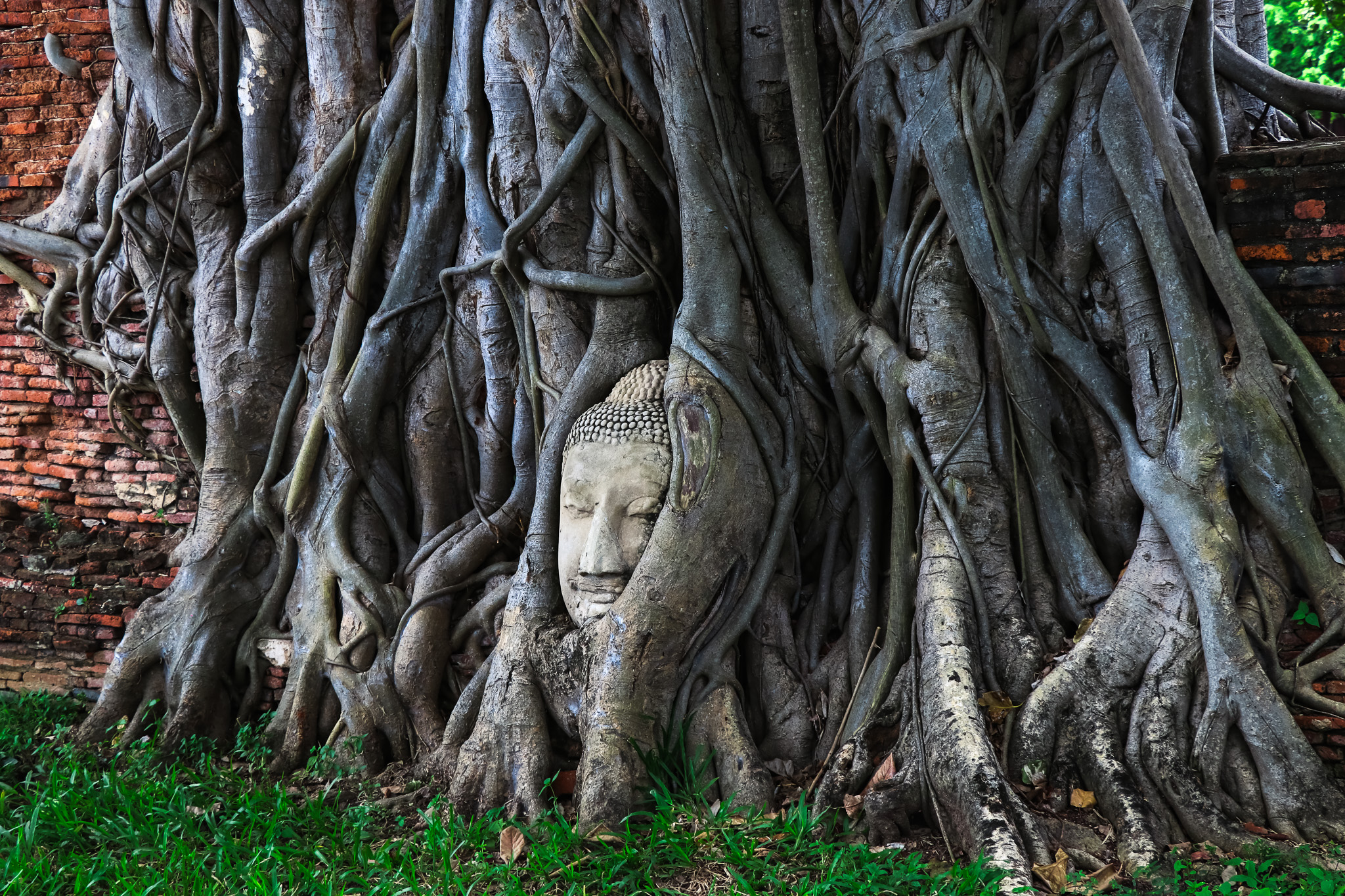 ayutthaya