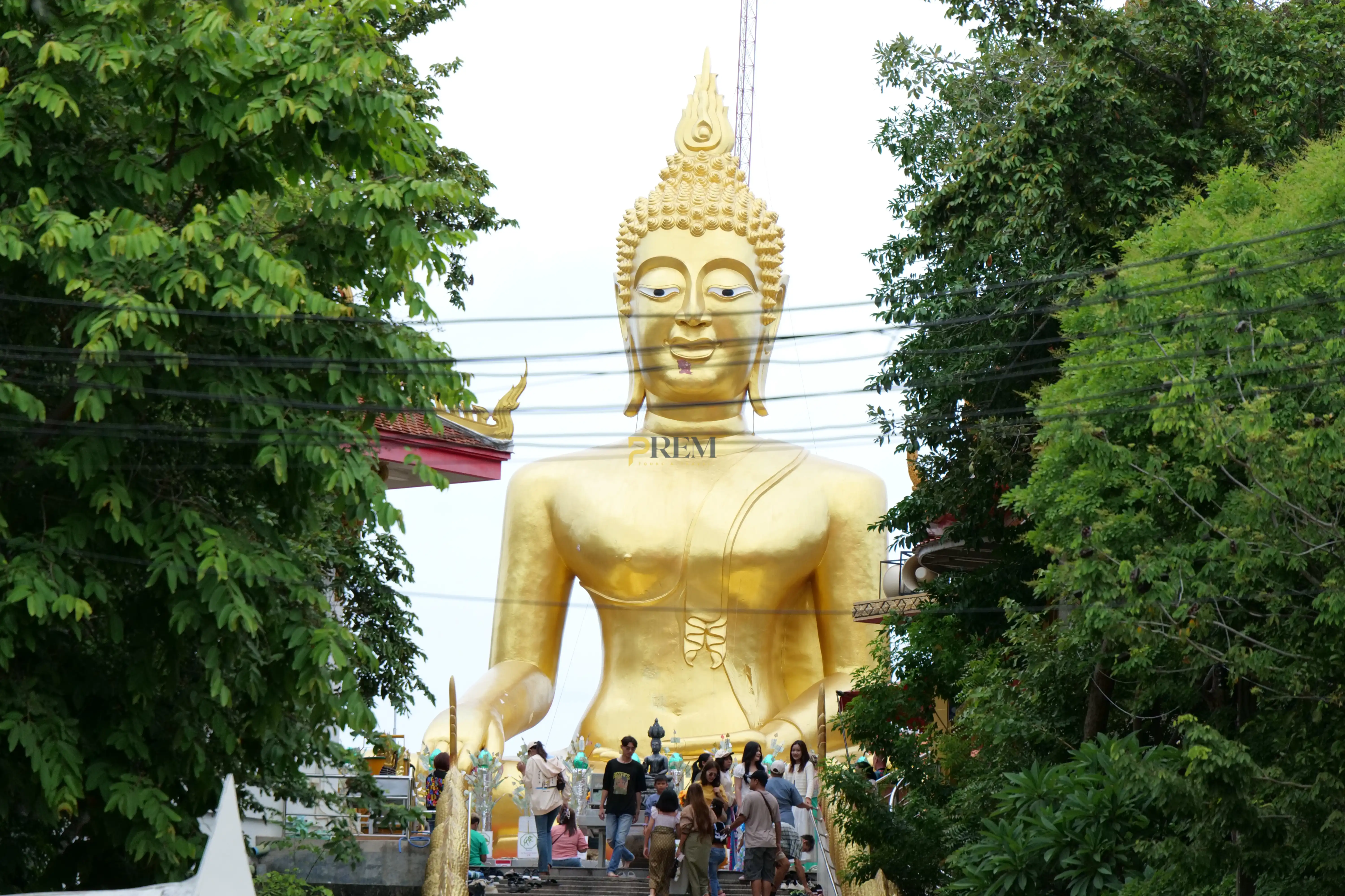 {"id":2936,"name":"package-tours\/places\/126-1-73edb5dca8a9d65dda780b13c551ab99.webp","package_tours_places_id":126,"alt":"Wat Phra Yai","position":1,"cover":1,"status":1,"created_at":"2025-06-22T11:16:32.000000Z","updated_at":"2025-06-22T11:16:34.000000Z","deleted_at":null}