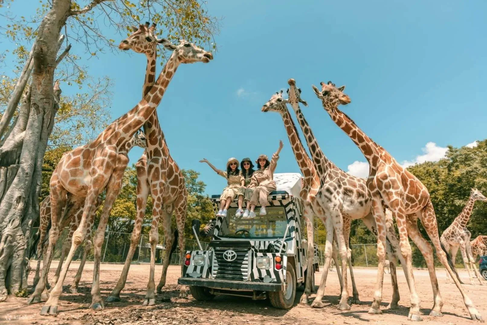 {"id":116,"name":"package-tours\/places\/34-1-437f15c156adc47b604fa88667691cf3.webp","package_tours_places_id":34,"alt":"Kanchanaburi Safari","position":1,"cover":1,"status":1,"created_at":"2024-08-11T16:13:06.000000Z","updated_at":"2024-08-11T16:13:06.000000Z","deleted_at":null}