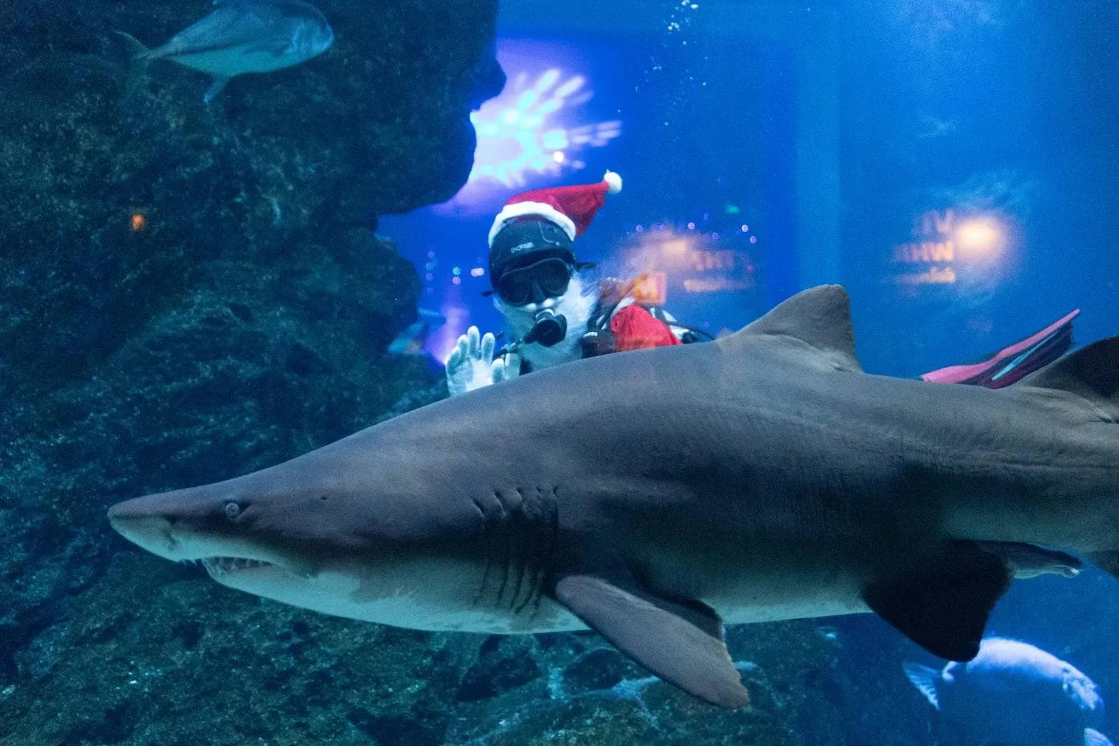 Sea Life Bangkok + Madame Tussauds Bangkok