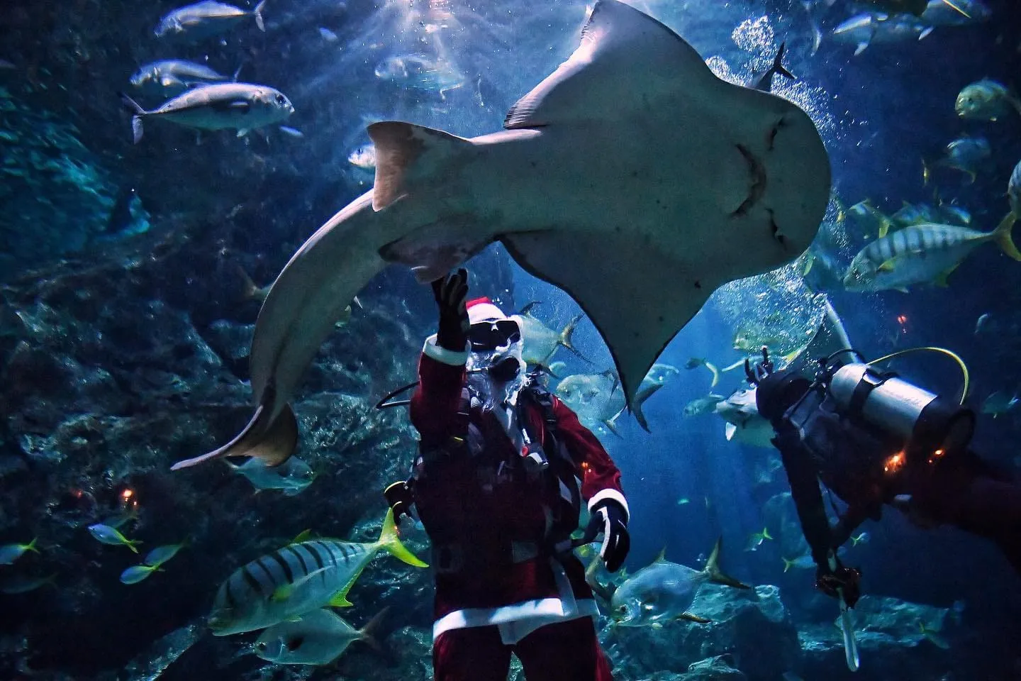 Sea Life Bangkok + Madame Tussauds Bangkok