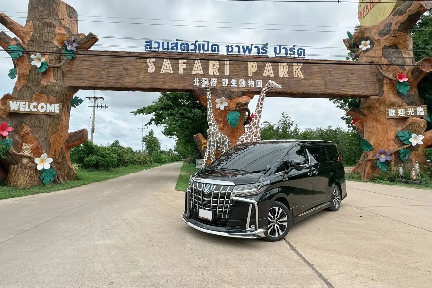 Toyota Alphard and Mercedes Benz E Class