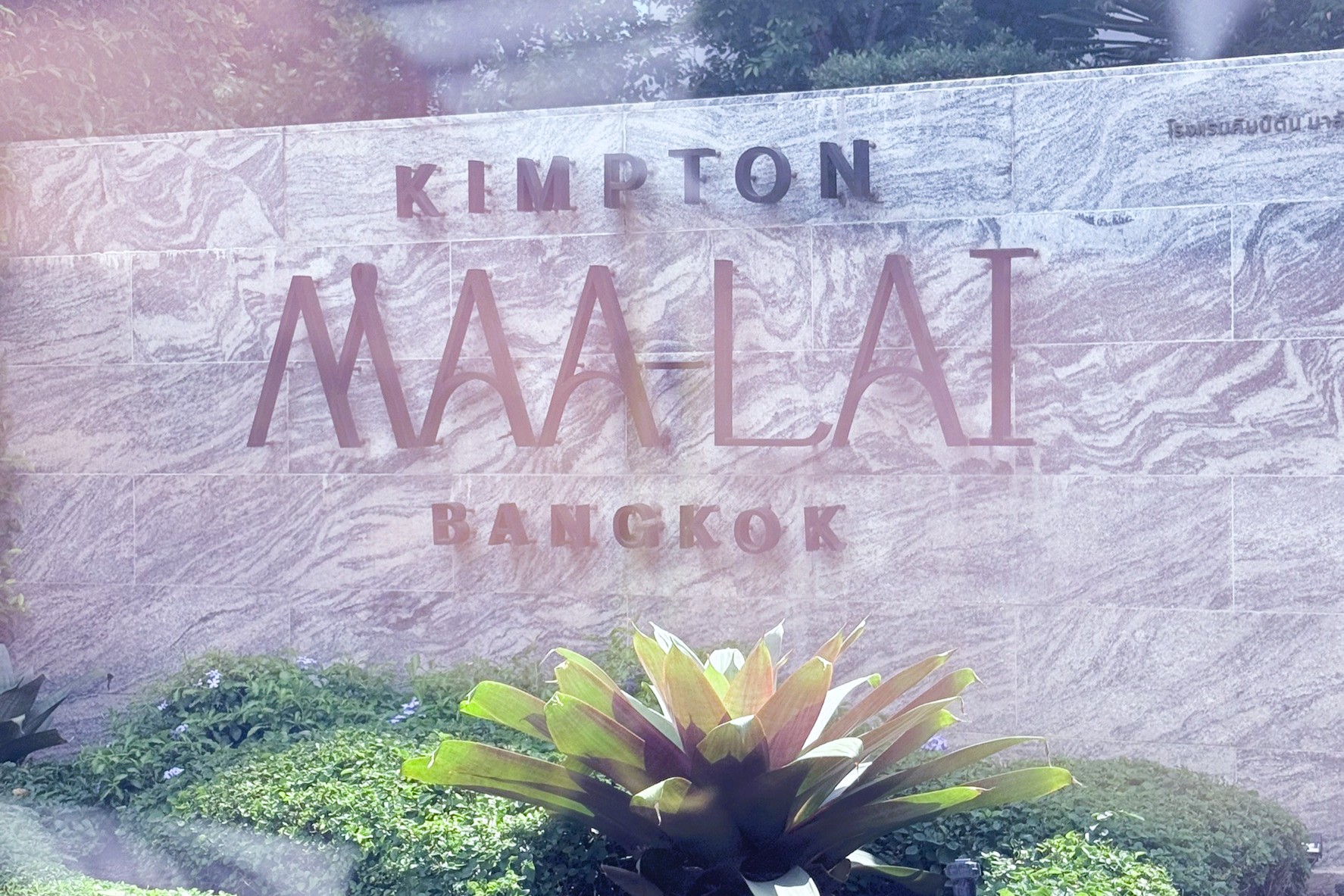 Thailand Medical & Wellness Tourism Service